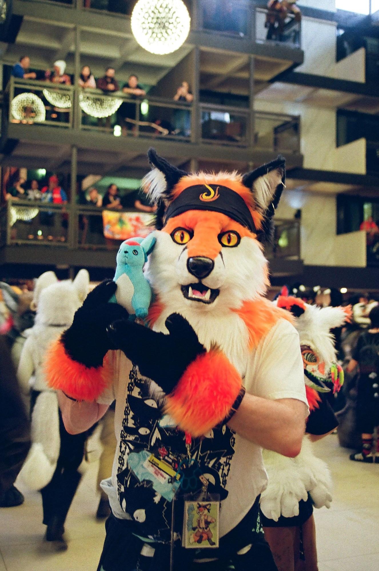 Photo of Argon, a red fox fursuit, gently holding a small blue plushie